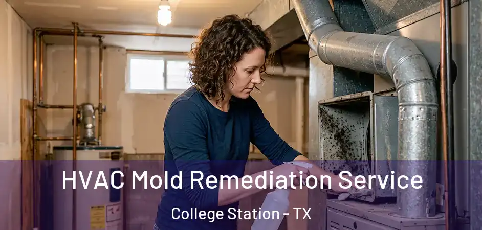  HVAC Mold Remediation Service College Station - TX