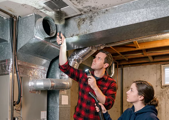 Premier HVAC Mold Remediation Company in College Station